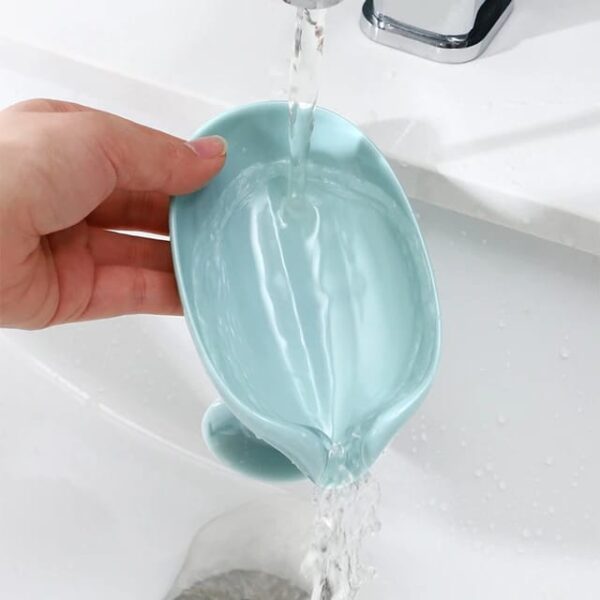 Suction Soap Dish