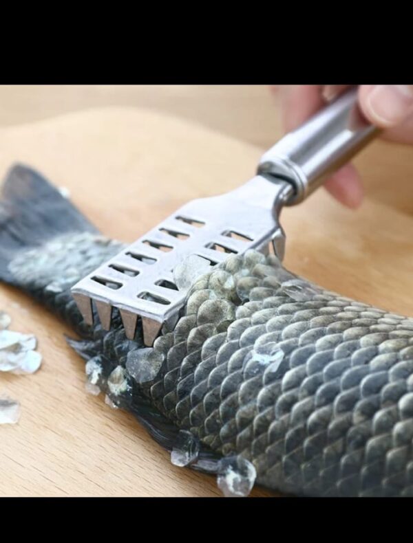 Fish Scaler